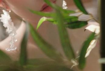 微密圈 – 我：一般不容易被壁纸吸引。看到宋昱欣的高清礼服壁纸：我错了，快，给我来一面墙！