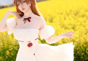 星之迟迟夏天作品集，快来看看这个夏天的奇怪侧面！