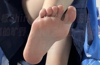 哇，白栎Shirly的《鸣潮》图包，好像卡提希雅的旷野，慢慢沉淀出一种奇怪的沉静感。