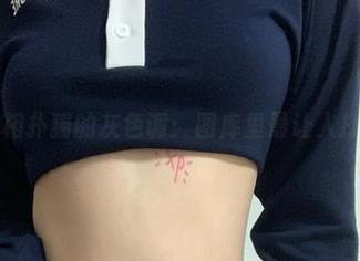 微密圈 – 相扑猫的灰色调：图库里最让人打盹的高清